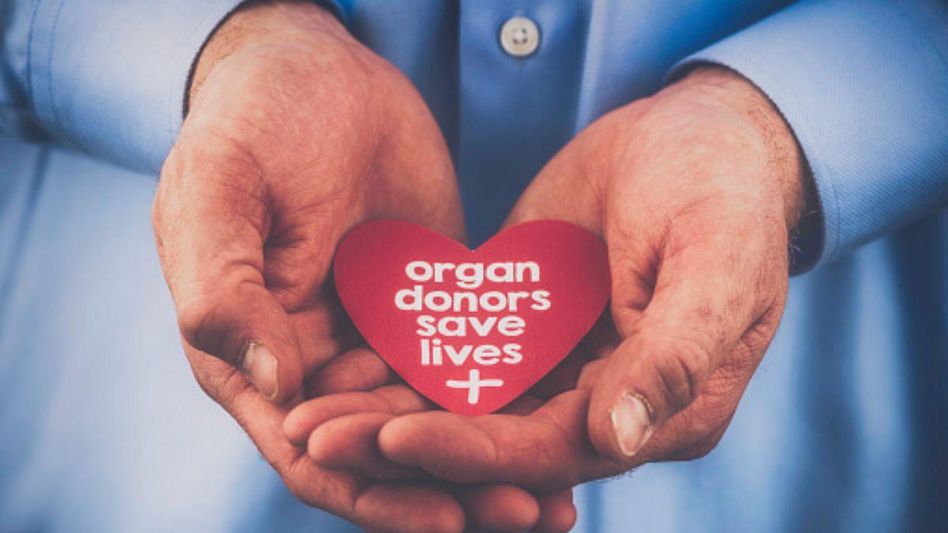 Organ Donation Organ Donation
