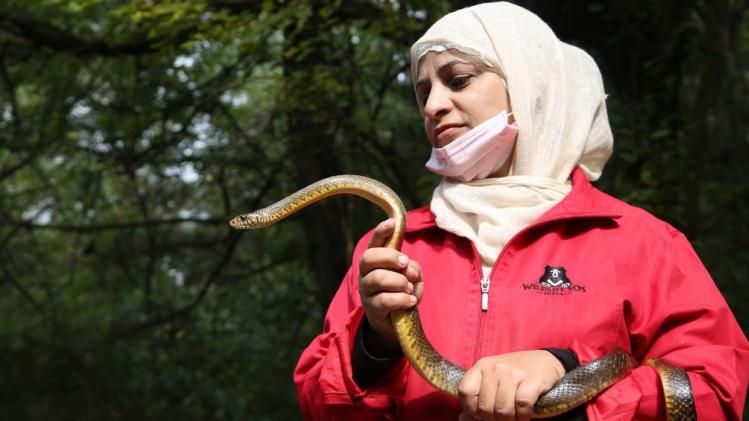 Aaliya Mir (Source: Wildlife SOS) Aaliya Mir (Source: Wildlife SOS)