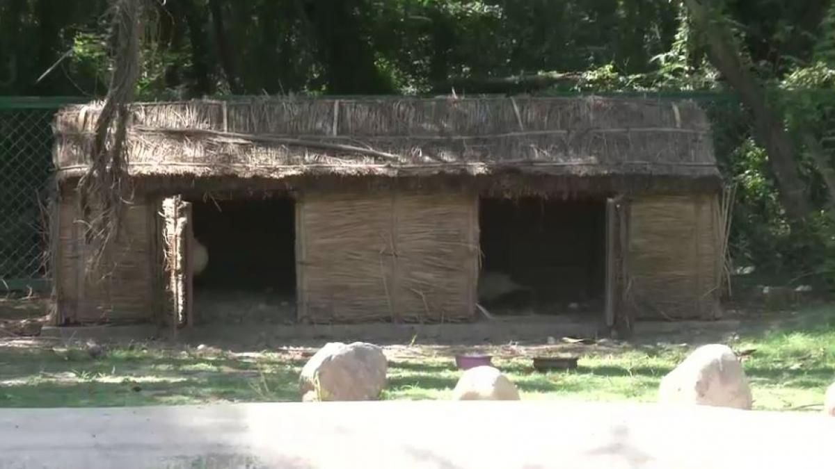 Chandigarh Bird Park