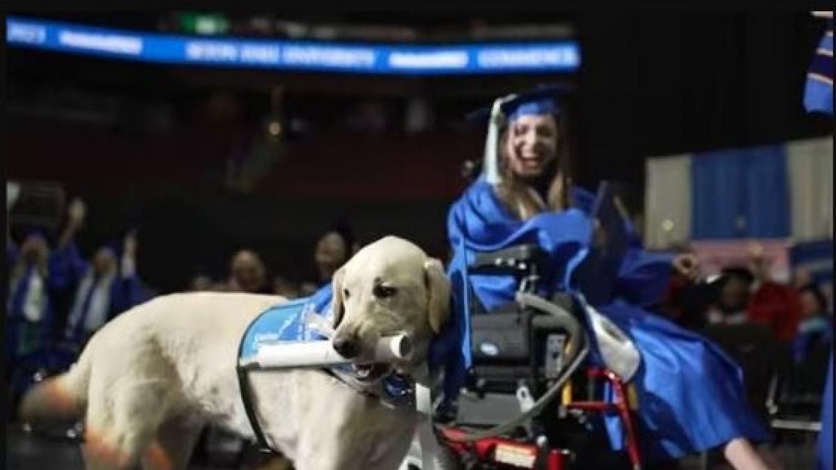 Dog receives degree