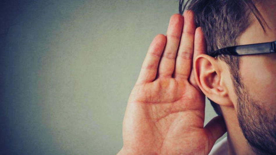 Human Brain and Ear Link Human Brain and Ear Link
