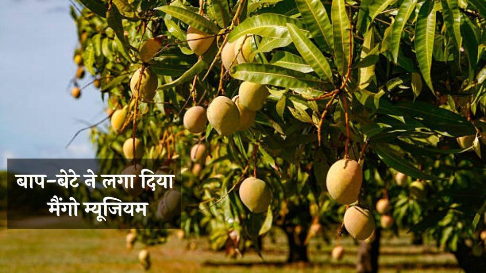 Representational Image Representational Image