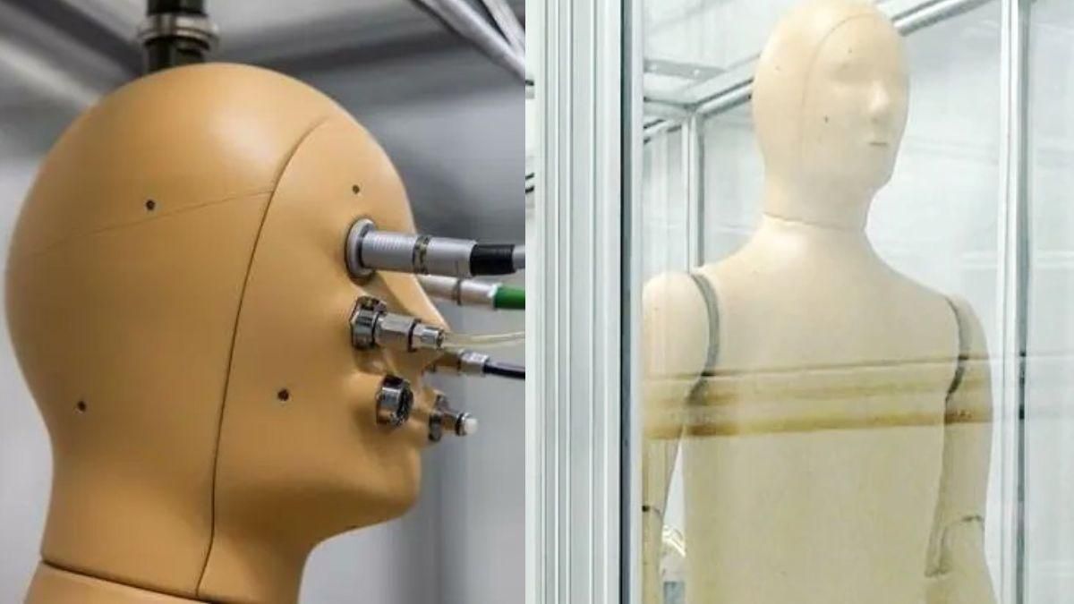 ANDI Robot (photo twitter) ANDI Robot (photo twitter)