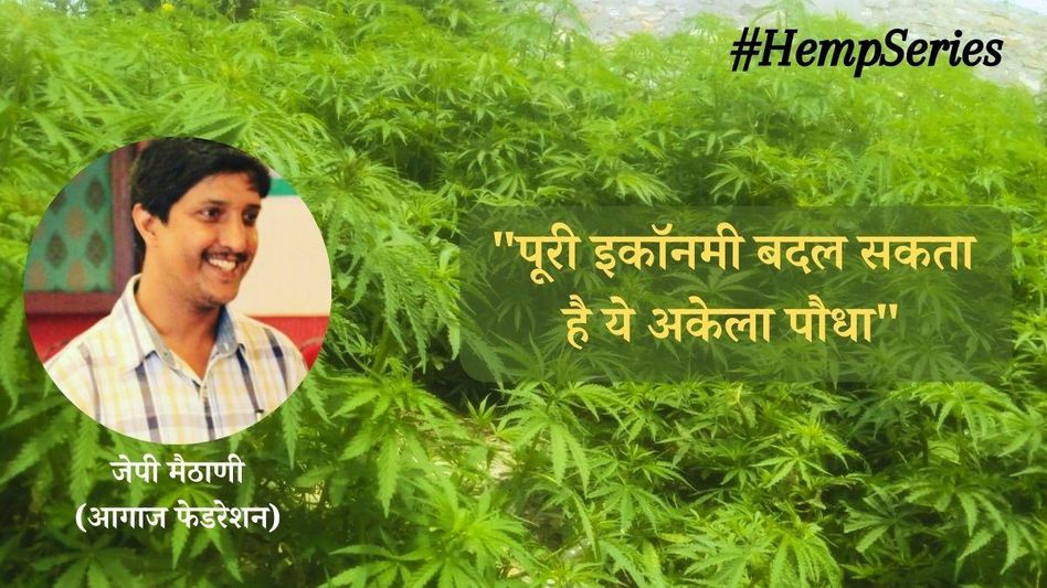 वंडर प्लांट हेम्प वंडर प्लांट हेम्प