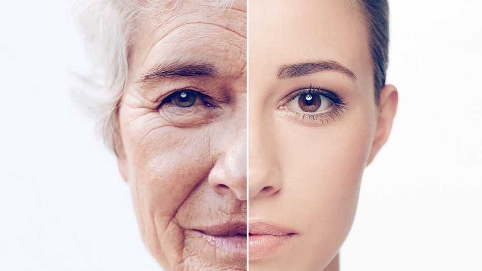 Slow Aging Slow Aging