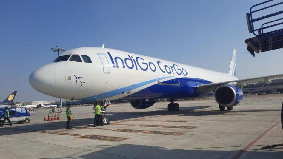 Indigo Indigo
