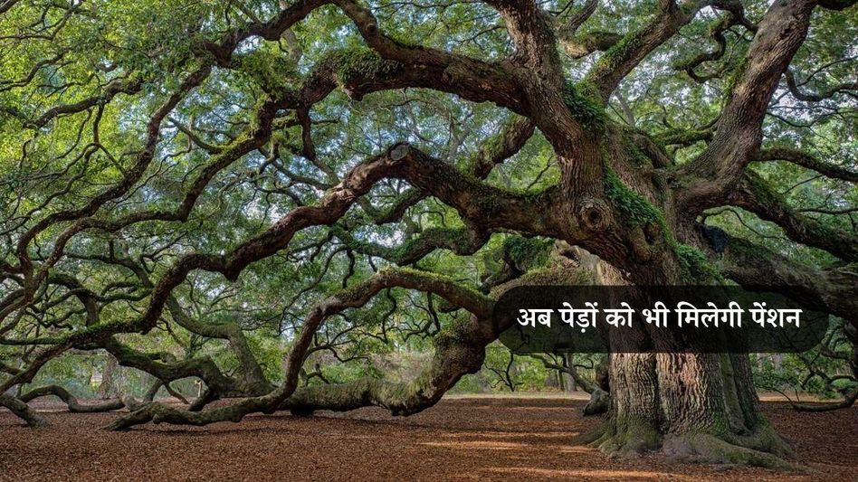प्राणवायु देवता स्कीम प्राणवायु देवता स्कीम