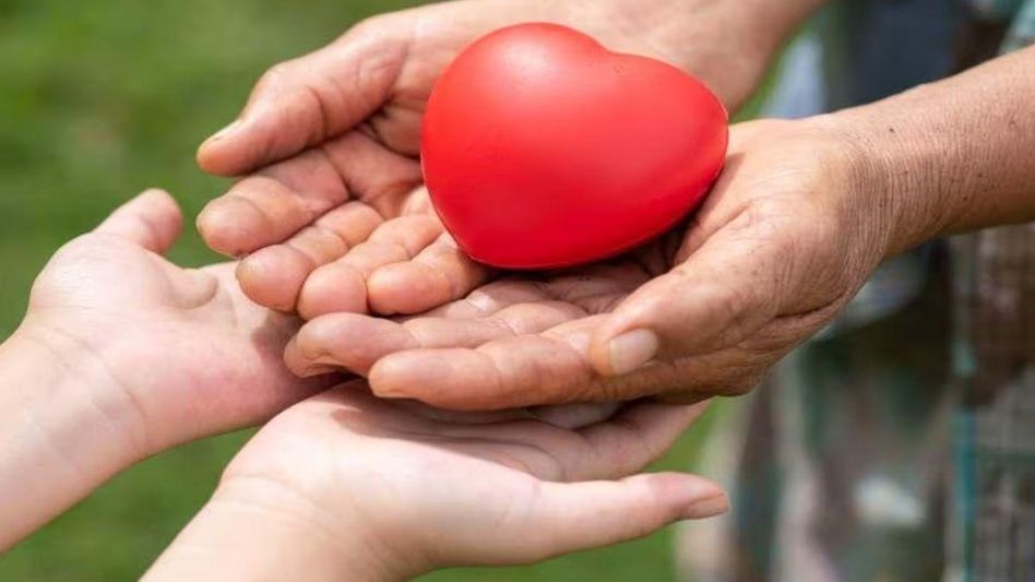 Organ Donation Organ Donation