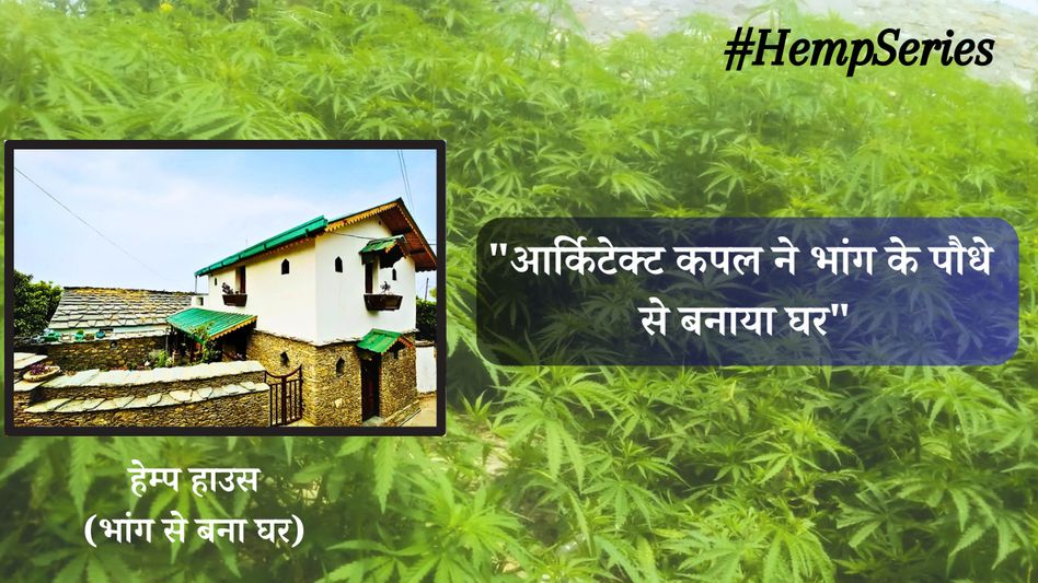 Hemp House Hemp House