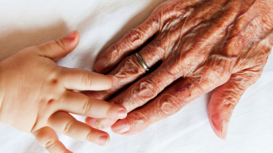anti-aging Chemical anti-aging Chemical