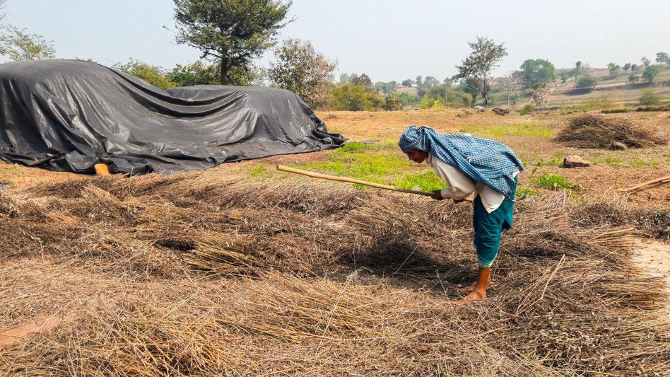 Representational Image Representational Image