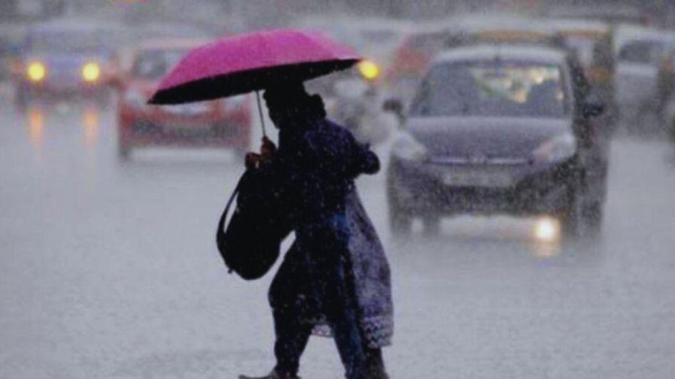 Leptospirosis Disease Leptospirosis Disease