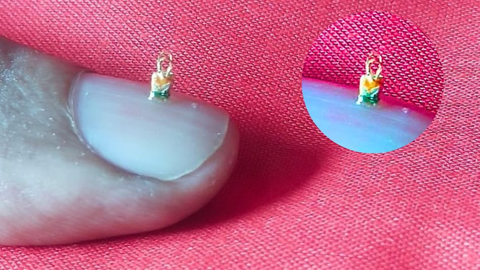 Smallest Handbag World Record Smallest Handbag World Record