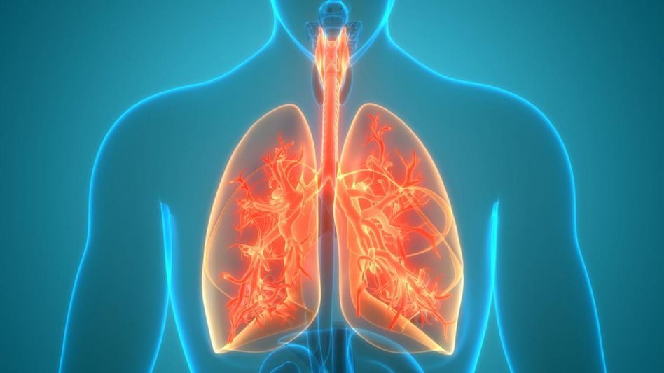World Tuberculosis Day World Tuberculosis Day