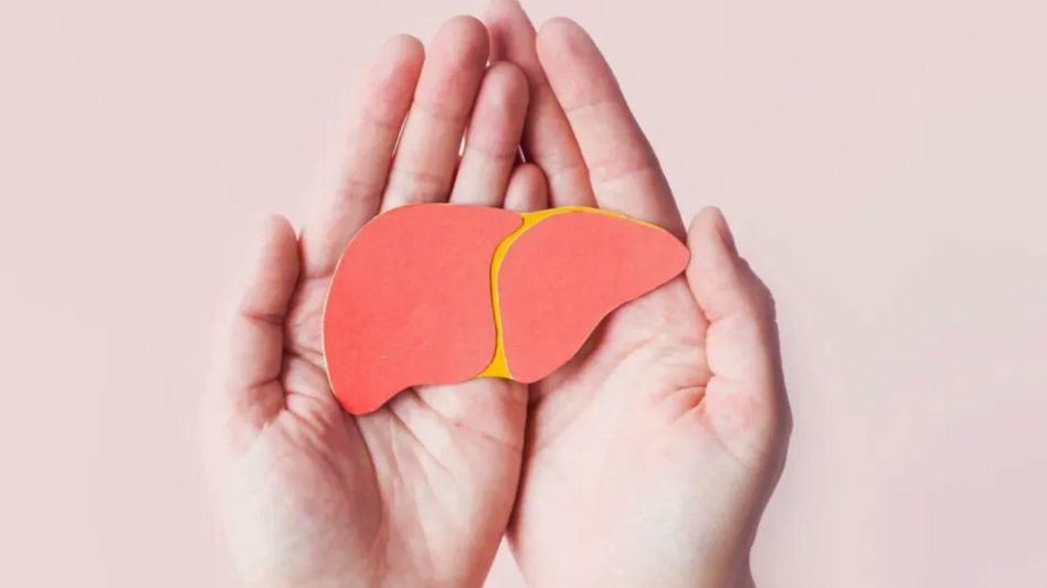 organ donation (symbolic image) organ donation (symbolic image)