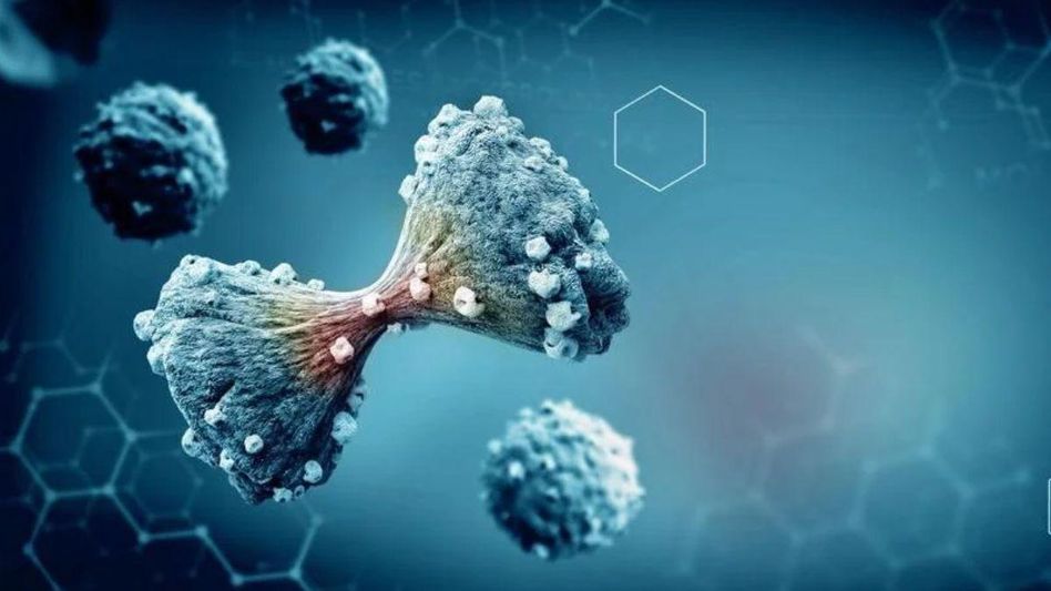 Cardiovascular disease and Cancer Treatment (Representative Image) Cardiovascular disease and Cancer Treatment (Representative Image)