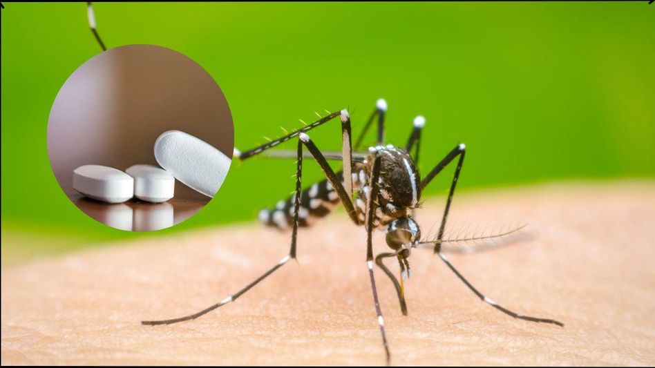 Dengue pill Dengue pill