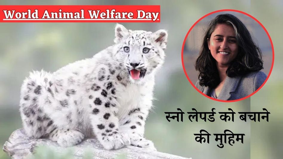 Deepshikha Sharma  Deepshikha Sharma