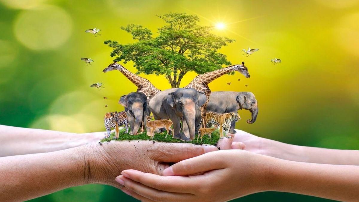 World Animal Day 2023