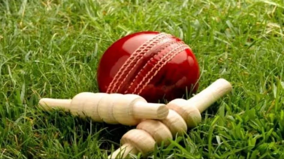 cricket cricket