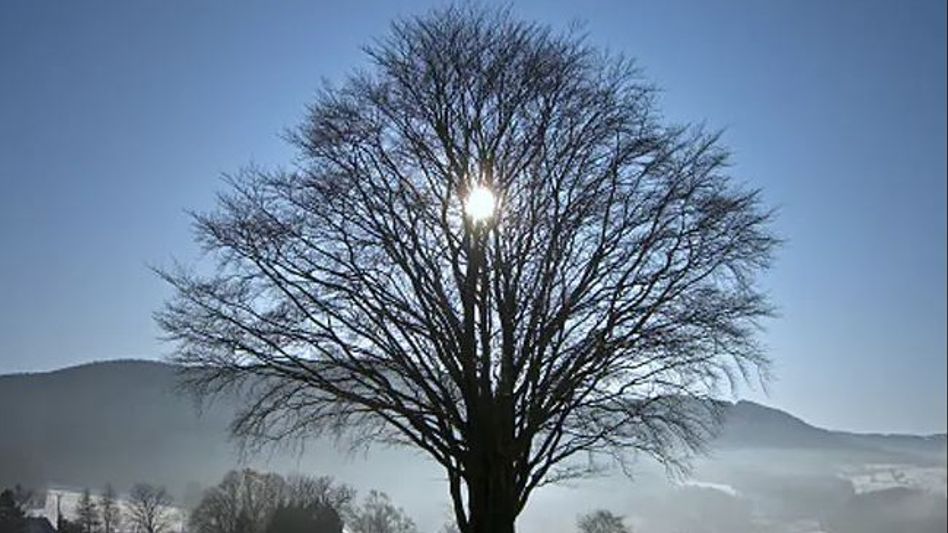 Winter Solstice Winter Solstice