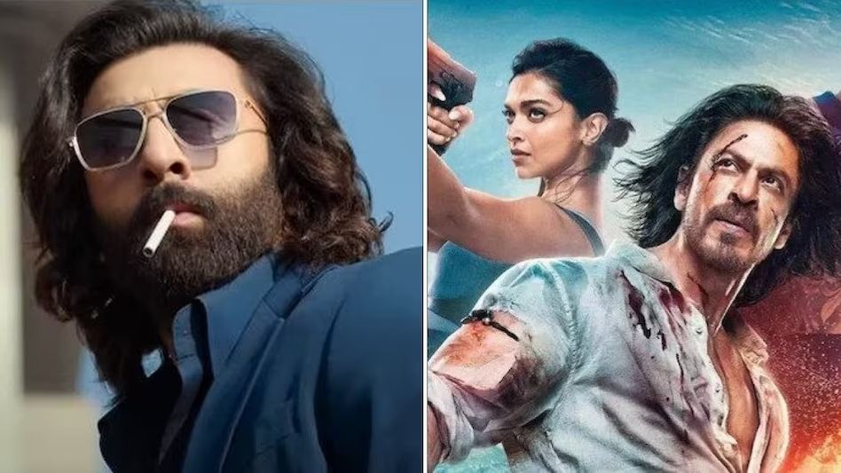 Stills from Animal, Pathaan Stills from Animal, Pathaan