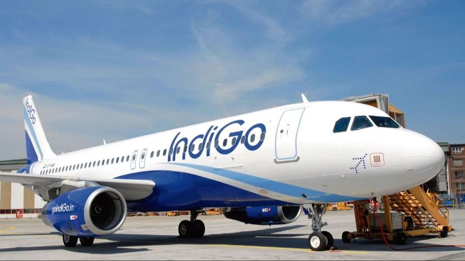 Indigo Indigo