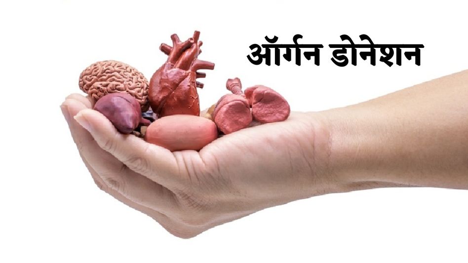 Organ Donation Organ Donation