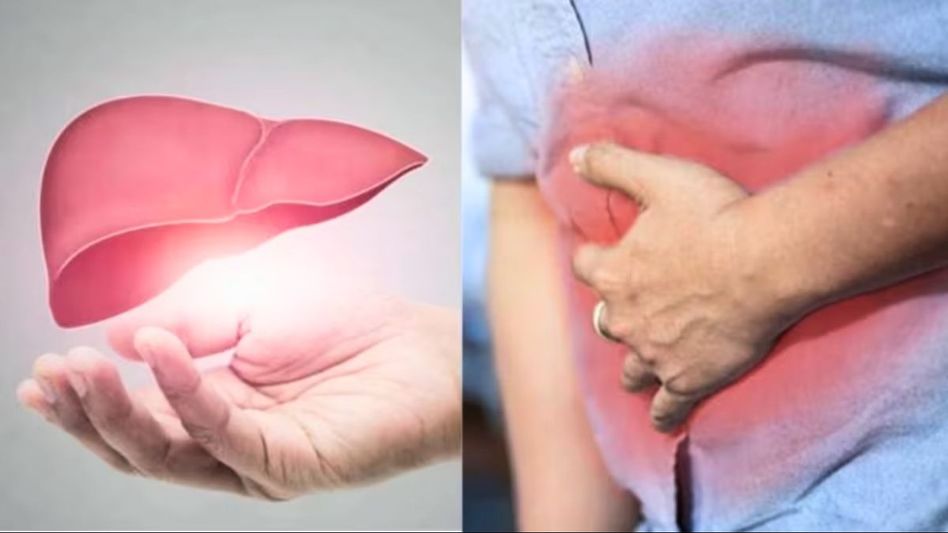 Liver Cancer Liver Cancer