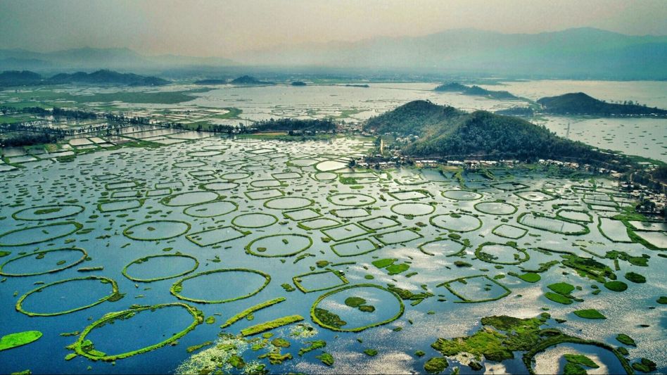 Popular Wetland Popular Wetland