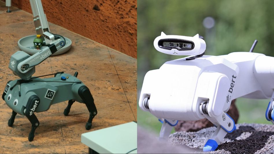 Robotic dog in space Robotic dog in space