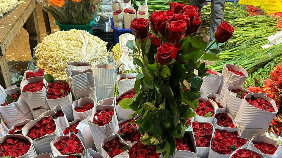 High demand of roses in Valentine's week High demand of roses in Valentine's week