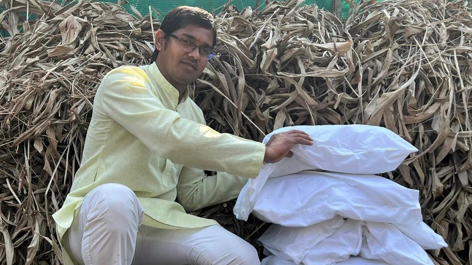 Turmeric Leaves Pillow Turmeric Leaves Pillow