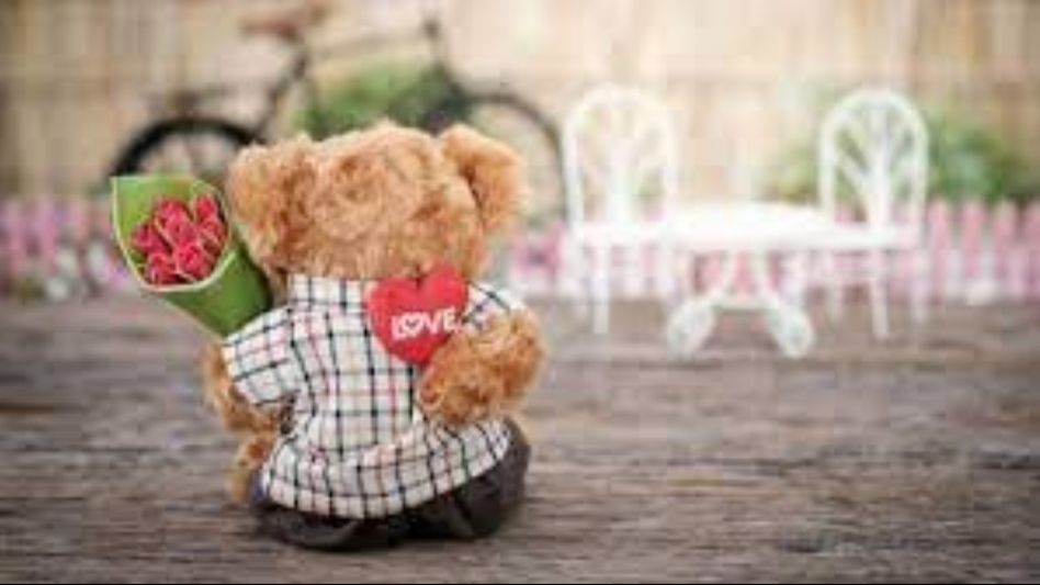 Valentine's day Week Valentine's day Week