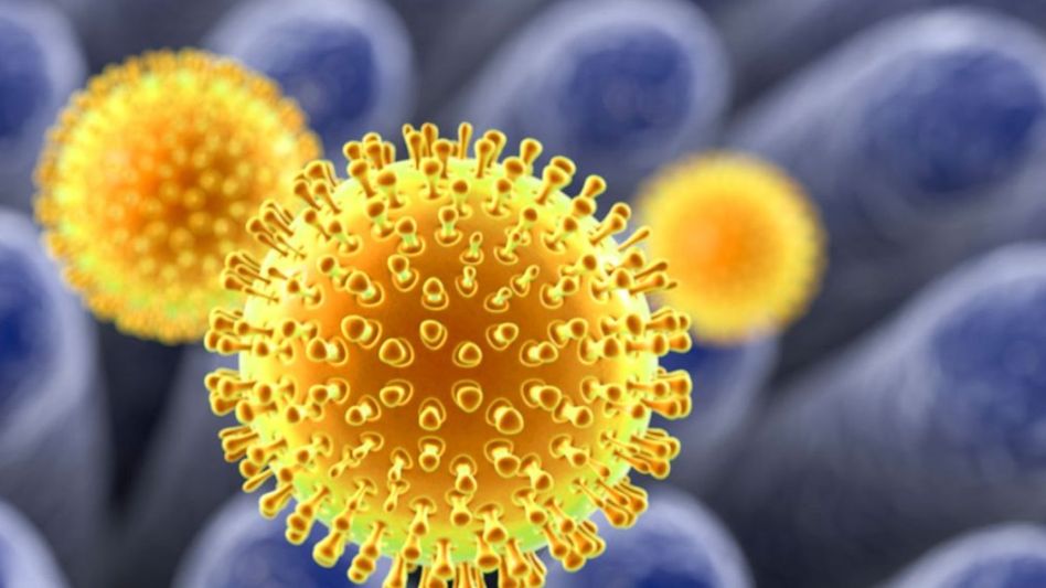 Representational Image Representational Image