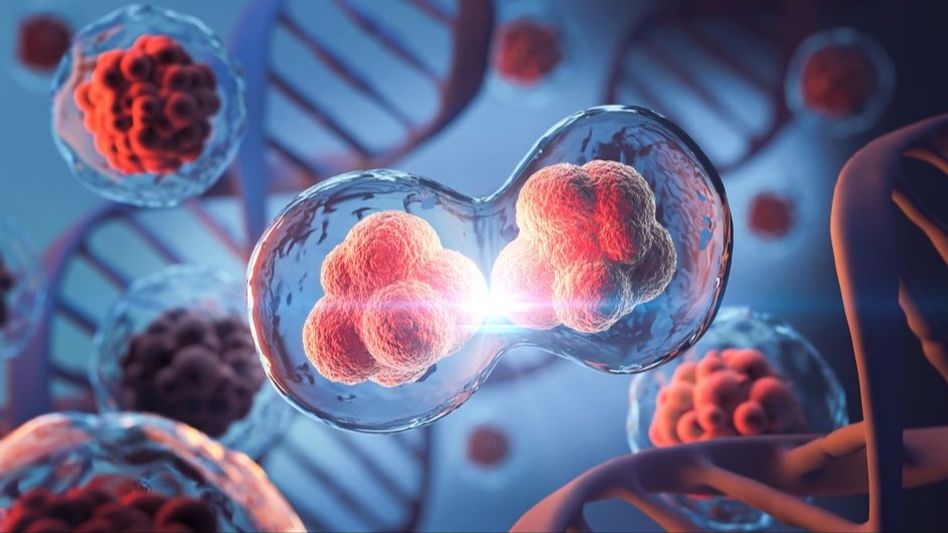 Cancer Cells Cancer Cells