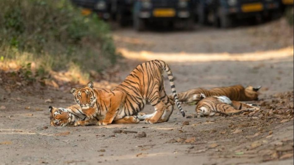 Jim Corbett Jim Corbett