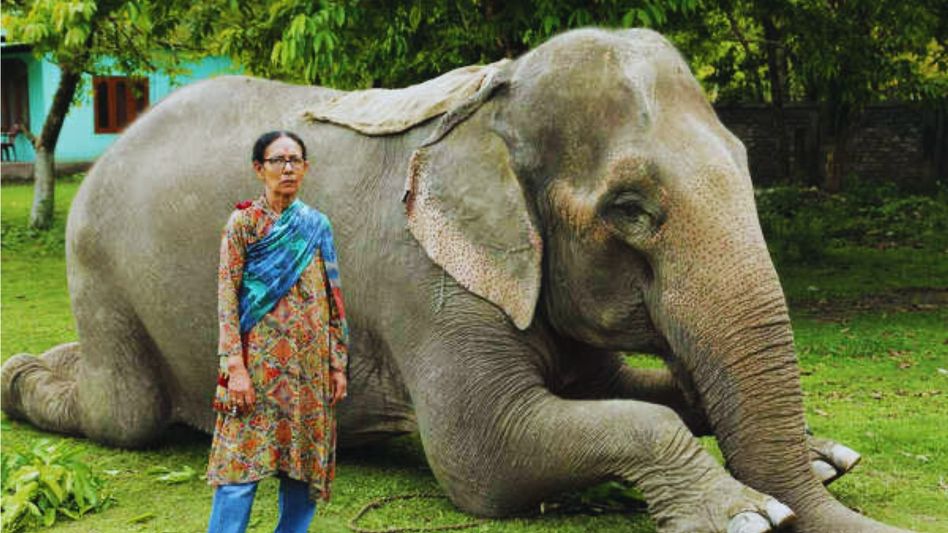 Parbati Baruah  Parbati Baruah