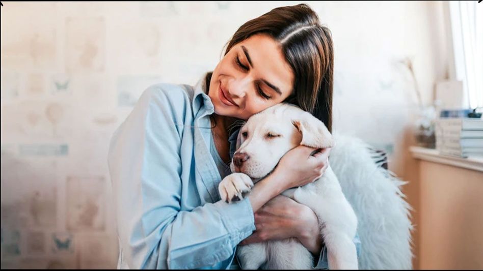 Playing with dogs helps people concentrate Playing with dogs helps people concentrate