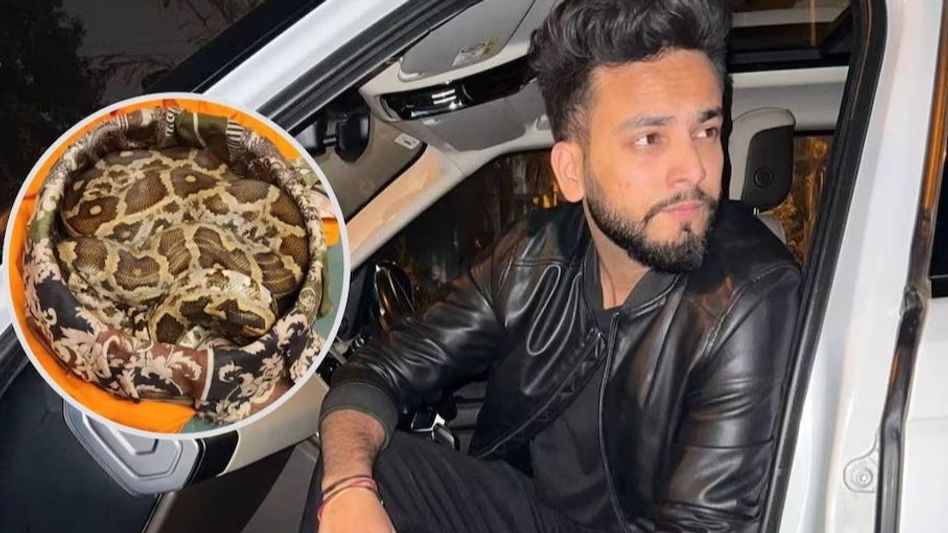 elvish yadav elvish yadav