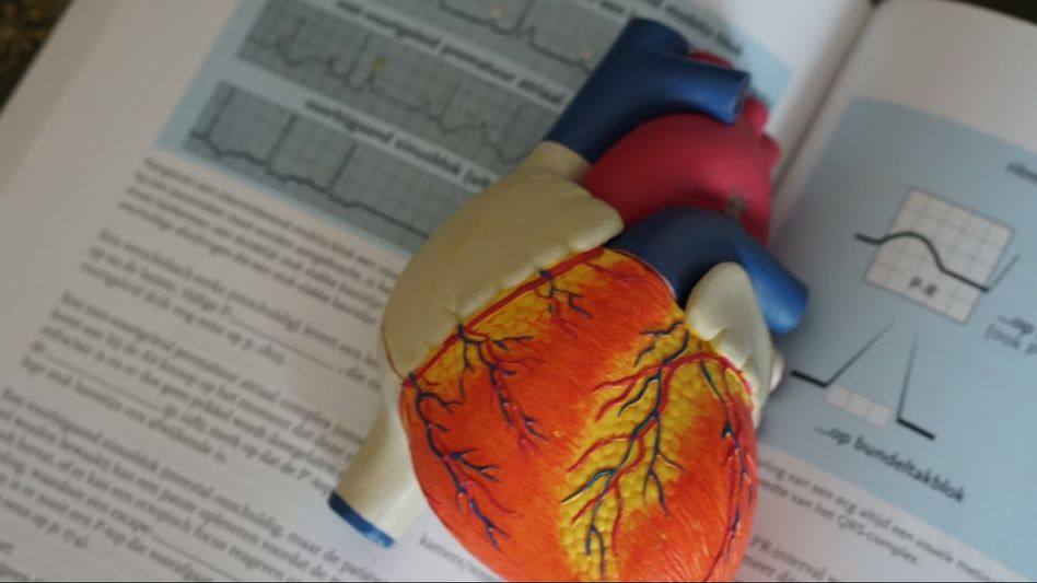 Organ Donation (Photo: Unsplash) Organ Donation (Photo: Unsplash)