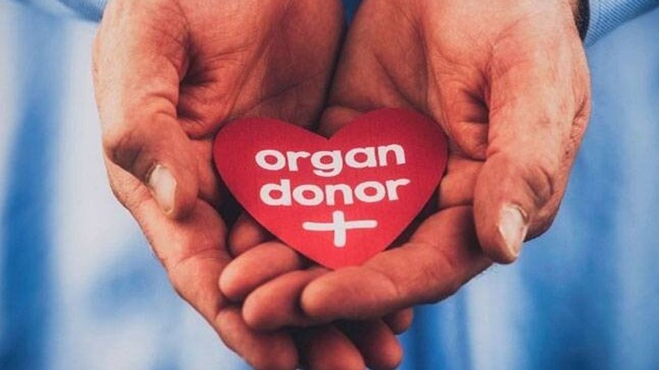 Organ donation Organ donation