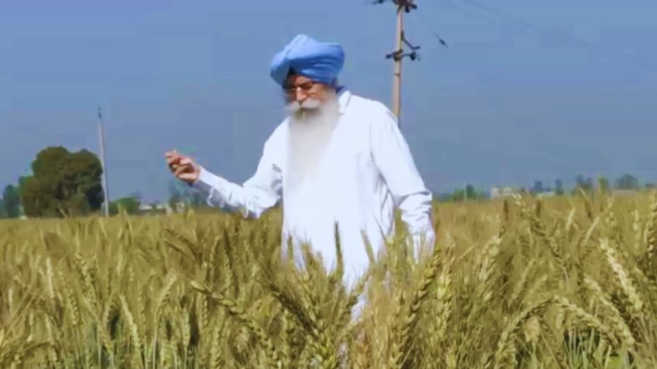 Advocate H.S. Phoolka doing organic farming Advocate H.S. Phoolka doing organic farming