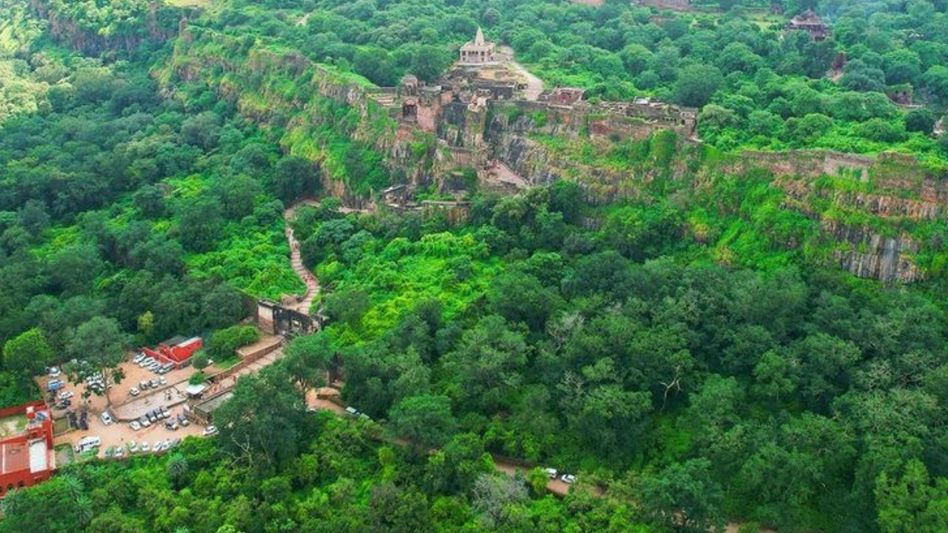 Ranthambore (Photo: Instagram/@rajasthan_tourism) Ranthambore (Photo: Instagram/@rajasthan_tourism)