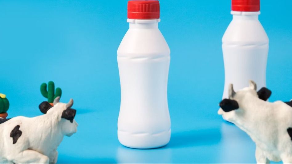 Dairy Products (Photo: Unsplash) Dairy Products (Photo: Unsplash)