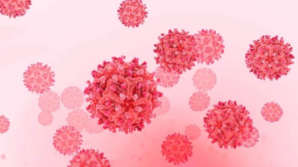 West Nile Fever West Nile Fever