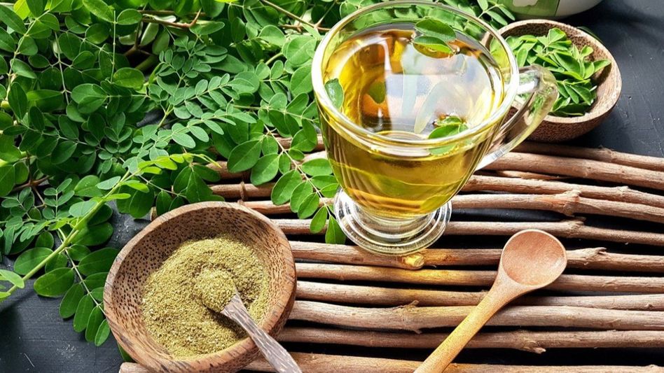 Moringa Benefits Moringa Benefits