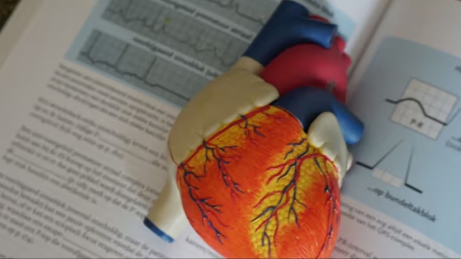 Organ Donation (Photo-Unsplash) Organ Donation (Photo-Unsplash)