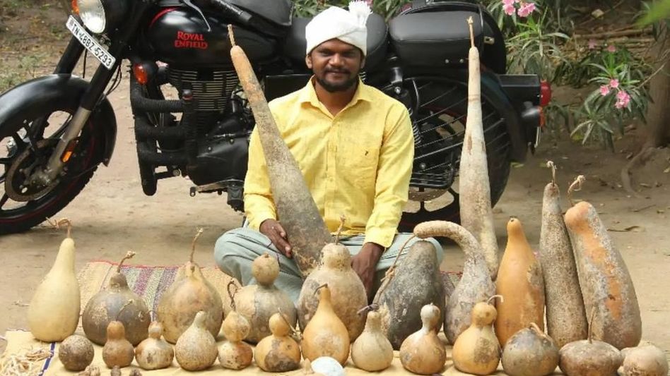 Salai Arun collecting seeds (Photo: Instagram) Salai Arun collecting seeds (Photo: Instagram)