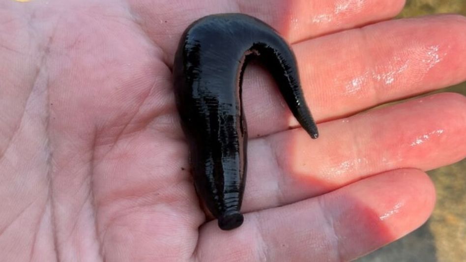 प्रतीकात्मक तस्वीर प्रतीकात्मक तस्वीर